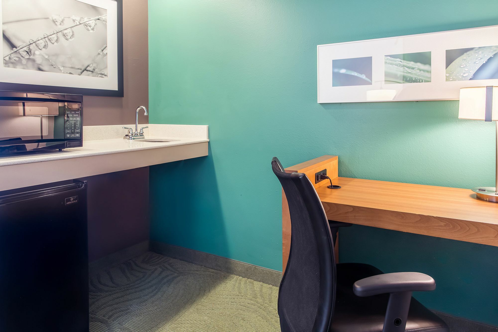Springhill Suites By Marriott Memphis East Galleria Buitenkant foto